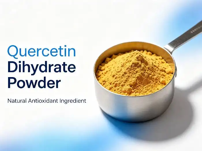 What Applications Need High Purity Quercetin Dihydrate Powder for Better Performance?